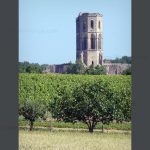 Cours sur l’abbaye de la Sauve-Majeure par la Société Archéologique de Bordeaux