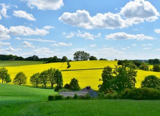 La France a tout pour rester une puissance agricole !