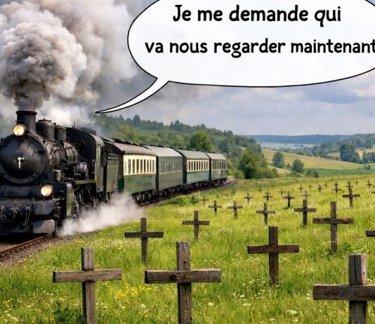 Dermatose nodulaire contagieuse : mort aux vaches !