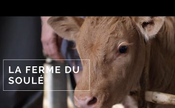 Ariège : l’État fort avec les faibles, un cas d’école d’anarcho tyrannie